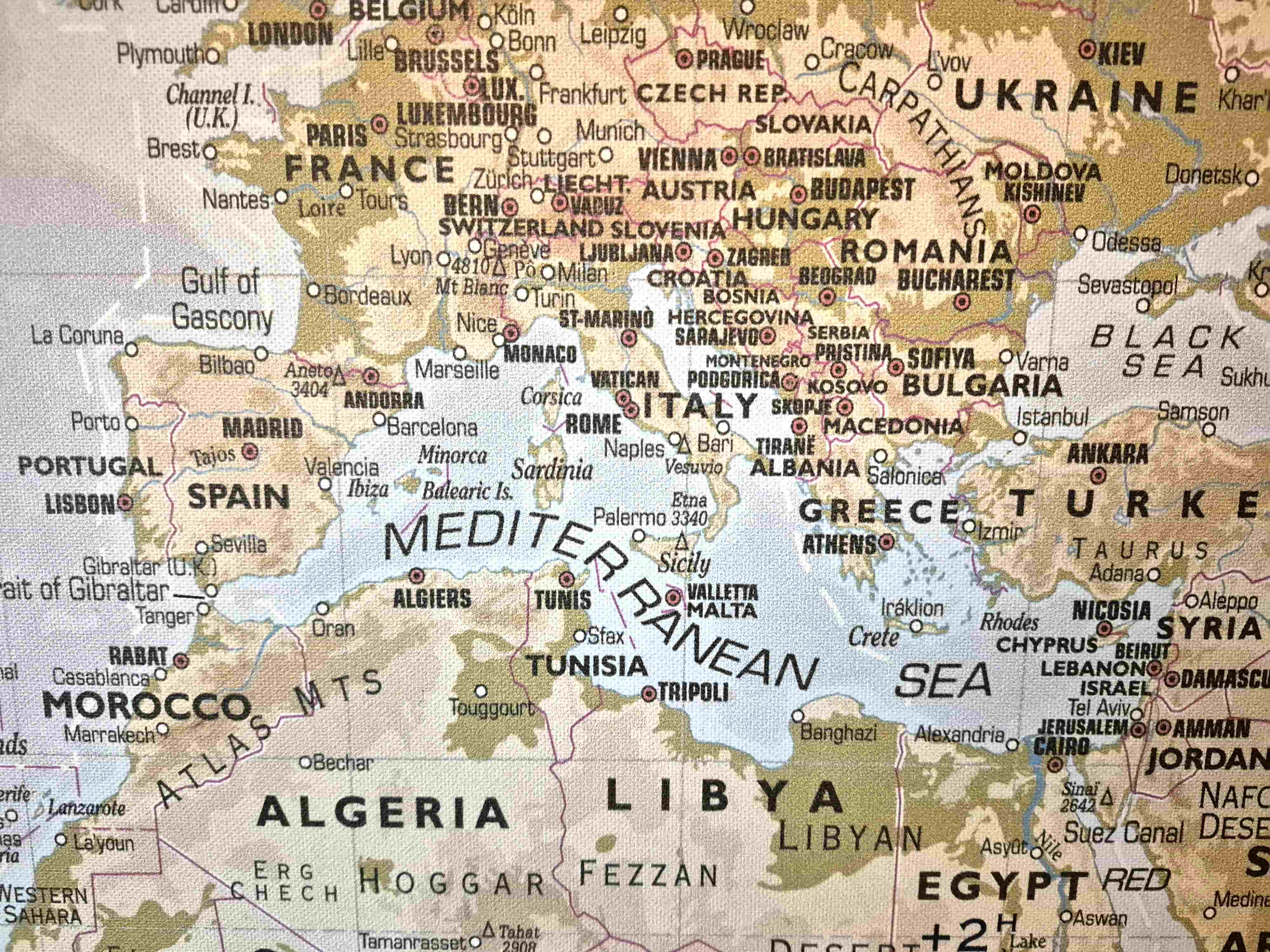 paneuromed