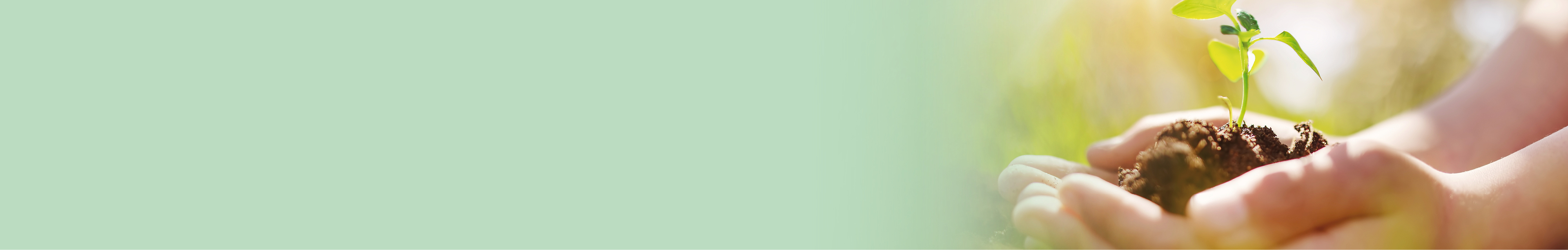 sustainability-forum-event-banner-website