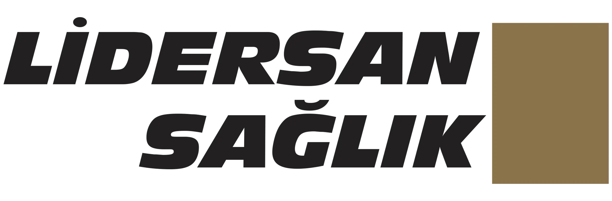 lidersan-saglik-logo