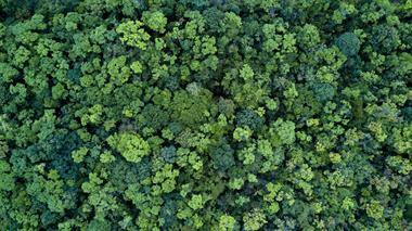 adobestock_246586912218d6e22-0479-4f21-9f59-c56d47cf8420.tmb-ze-380-220