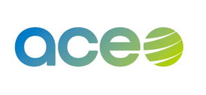 ACE SRL