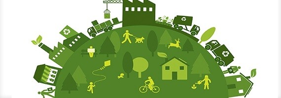 Sustainable business practices and their impact on the marketplace